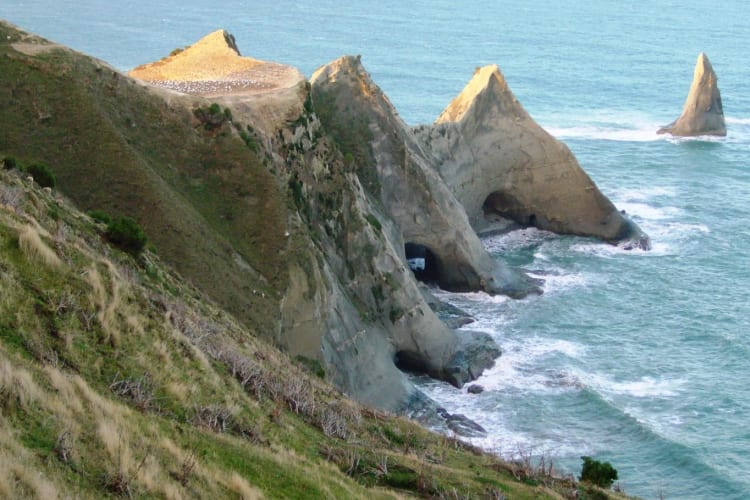 Cape Kidnappers
